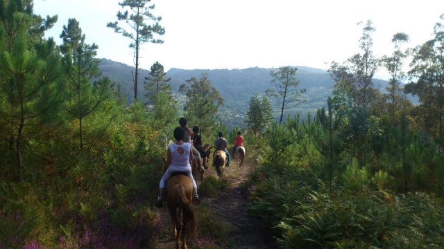  Horseback riding excursions in Pontevedra 